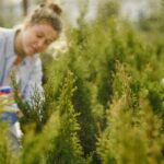 Consejos prácticos para mantener un jardín saludable durante todo el año